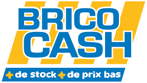 Logo Brico Cash Ancenis